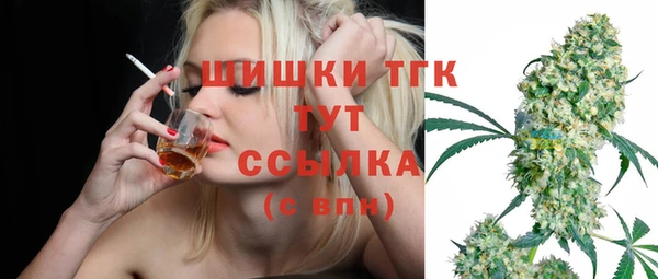 spice Бородино