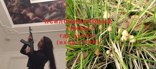 spice Бородино