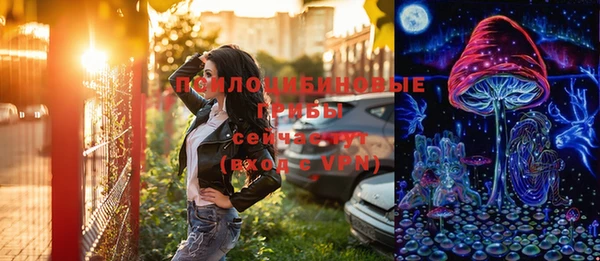 spice Бородино