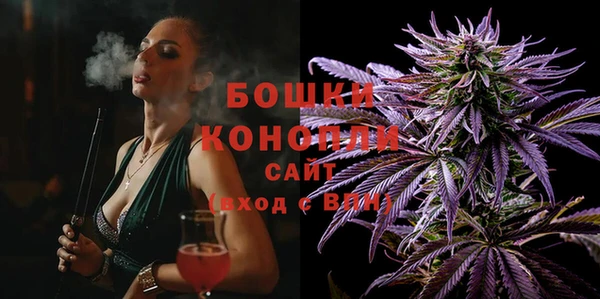 spice Бородино