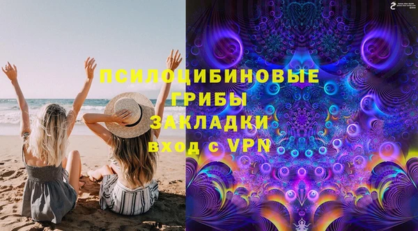 spice Бородино