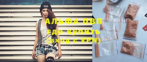 spice Бородино