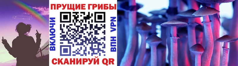 Галлюциногенные грибы GOLDEN TEACHER  OMG маркетплейс  Валуйки 